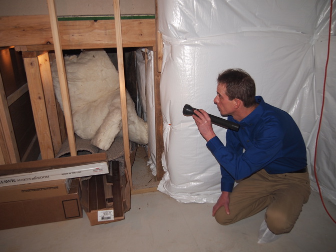 Residential pest inspection