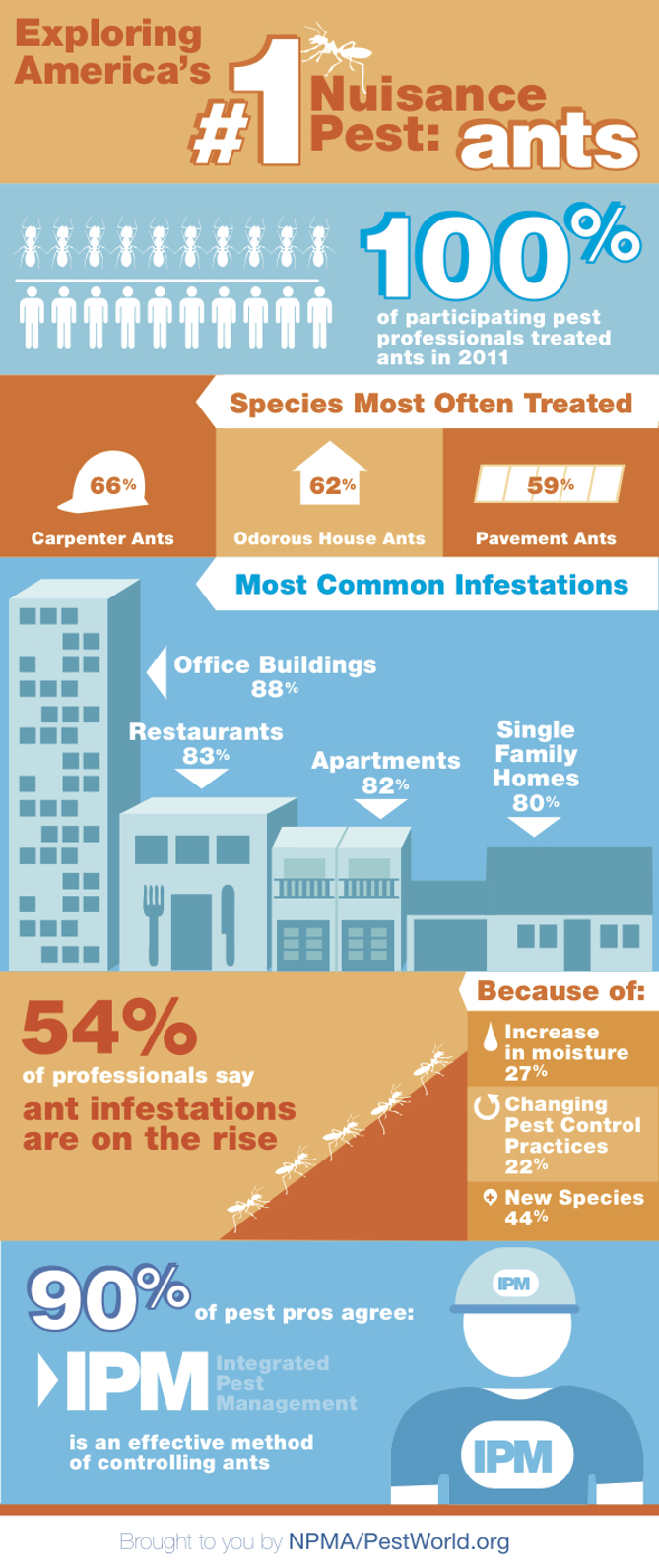 Ant Survey 2012 Infographic